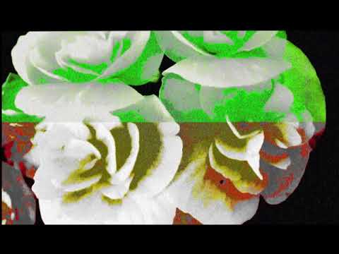 if the flower.. - Ruzan Petrosyan - Armenia - Metamorphosis 2023