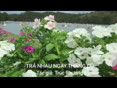Trả nhau ngày tháng cũ Sheet - Thanh Tuyền