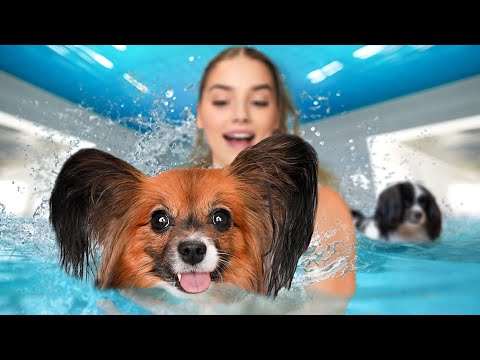 NAUCZYŁAM JE PŁYWAĆ!