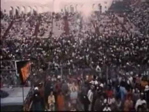 Rufus Thomas Do the Funky Chicken.flv