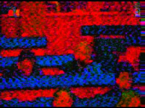 Gëzim Kelmendi- Korrupsioni zhduket nga njerëzit besimtar qe i tuten ZOTIT