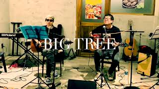 BIG TREE MANA&KEI 20250511 (チャゲス 弾き語り)
