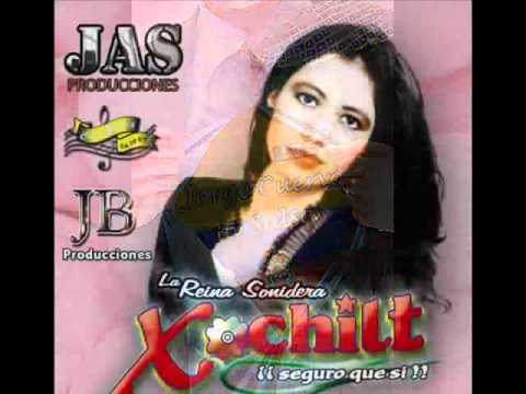 Mi Tonto Amor - Xochitl Mejia