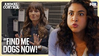 show video image in three sizes