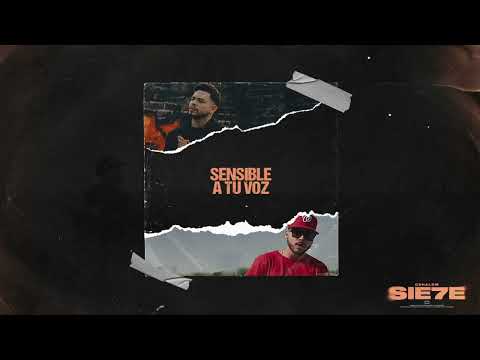 Sensible A Tu Voz - CSHALOM feat. Onell Diaz (Visualizer) Sie7e