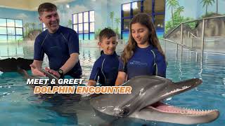 Dolphin Meet & Greet Website