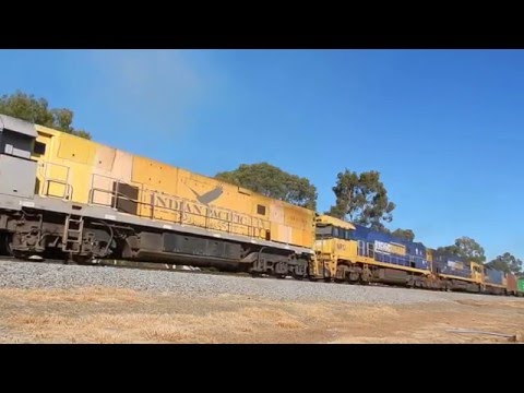 Junee Trains NR18, NR12, NR24 & DL41 with 1MW2