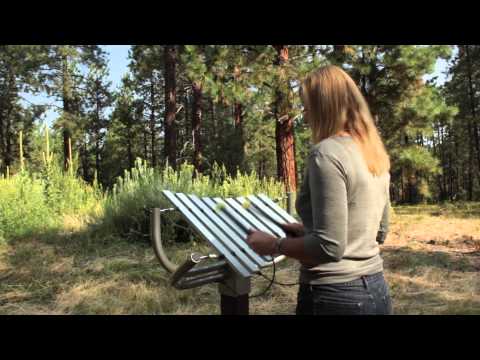 Freenotes Sculptural Ensemble video 2