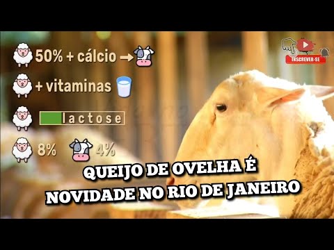 , title : 'QUEIJO DE OVELHA PRODUZIDO NO RIO DE JANEIRO'