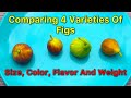 Comparing 4 Varieties Of Figs