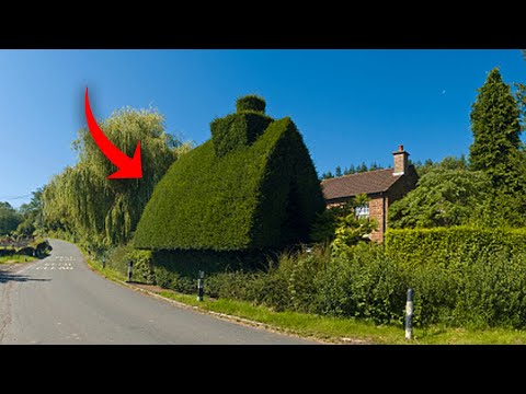 Meet the People Who Build Ugly Houses Just to Get Revenge