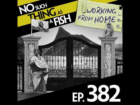 Ep 381: No Such Thing As A Safe Toothpick