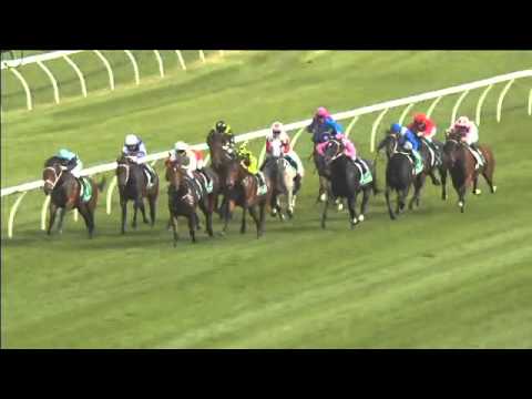 Randwick Race 4 April 16th 2016 - CARR STAKES