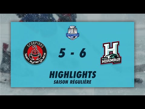 Scorpions de Mulhouse 5-6 (prl) Anglet Hormadi - Highlights - Synerglace Ligue Magnus 2022/23