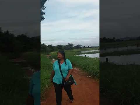 río xingu em São Félix do xingu