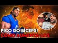 AUMENTE SEUS BICEPS