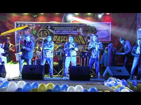 PARRANDITA AZUL EL GATO  FELIX NAVARRO 2019 PLAYA CENTRAL VITARTE