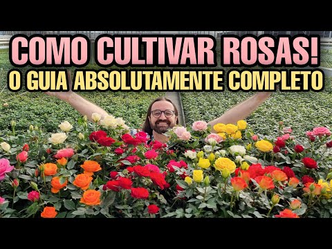 , title : 'AULÃO DAS ROSEIRAS - APRENDA TUDO SOBRE AS ROSAS - Produção de MINI ROSA - Jardim'