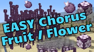 EASY Chorus Flower Farm (EASY Chorus Fruit Farm) - Minecraft Java