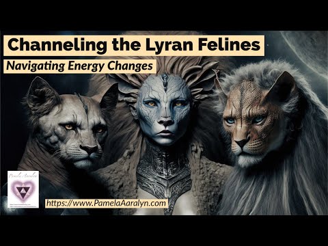 Channeling Lyran Felines- Navigating the Energy Changes and Energy Update- The Veil is Lifting!