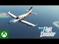 Why I Fly - Microsoft Flight Simulator - Emilie