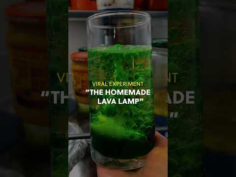 i tested viral science experiments