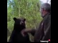 Thug Life Poor Bear