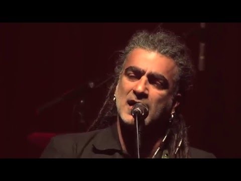 מוש בן ארי | פרח