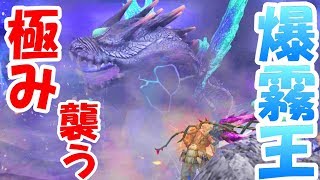 【MHF-ZZ】新無双実装！極み襲うボガバドルム太刀ソロ撃退出来るまで続けてみた！