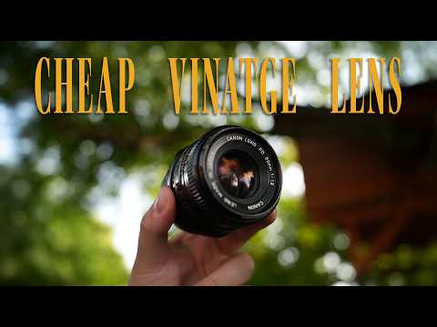 You Need this CHEAP VINTAGE Lens (canon fd 1.8)