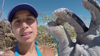 Metal Detecting after Hurricane Michael