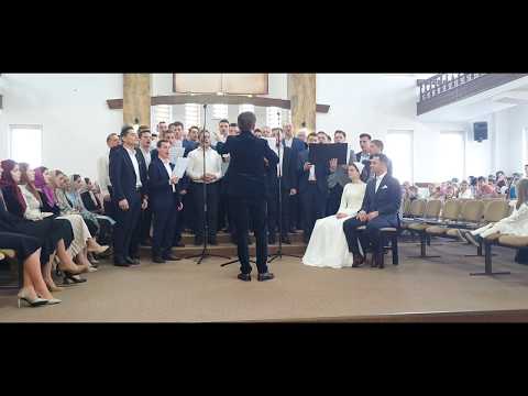 Cor bărbătesc Vicov-Mitoc - În taina unirii voi astăzi pășiți