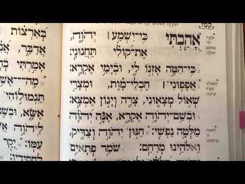 Tehillim psalm 116