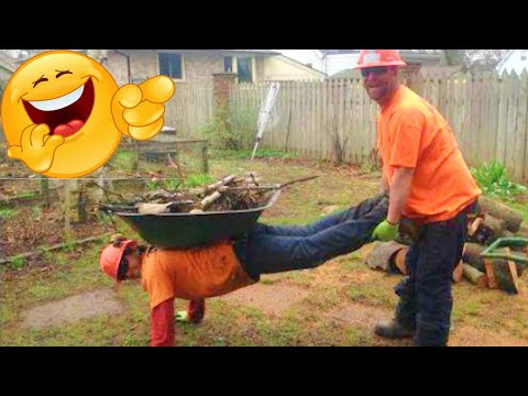 Funny moments 😄 Dorel 😄 Try not to laugh 😄 Die laughing 😄 Funny cats 😄 Read the description