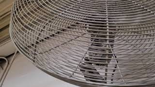 Testing the wall-mounted Dayton Industrial High Velocity fan