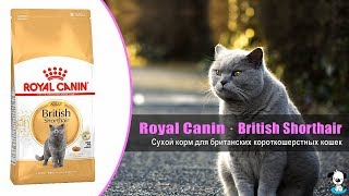 Royal Canin British Shorthair Adult 10 кг (2557100) - відео 5
