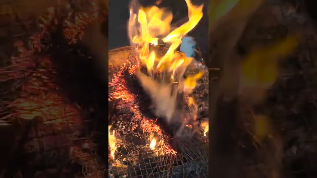 ［No.030］夏の思い出