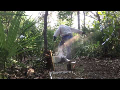 How To Combine 2 Bee Hives , The Shake Out Method