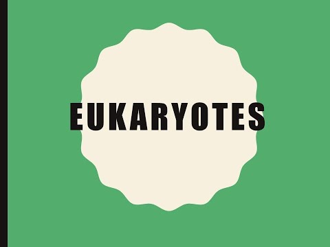 Eukaryotes Micro for nurses