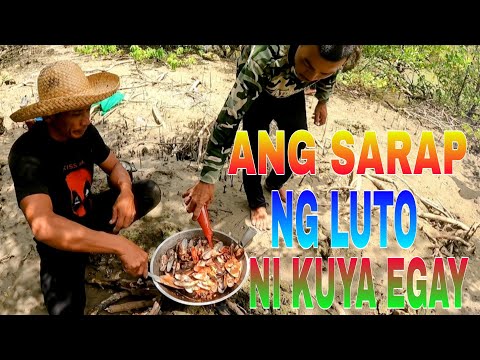 EP495:PART2-PANGUNGUHA NG PAROS SA LOOB NG KATONGGAN