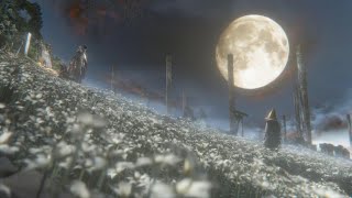 [２週目] トロコン目指してのんびり攻略 [ブラッドボーン]