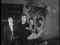 Traffic - Paper Sun 1967...Official Video