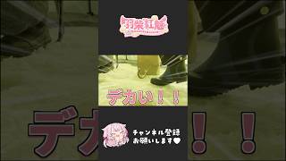 個人Vtuberのワカサギ釣り #shorts