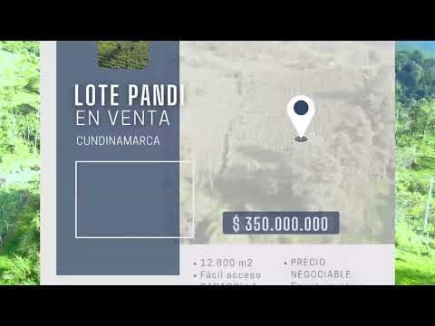 VENTA LOTE EN PANDI VEREDA  CARACOL 1