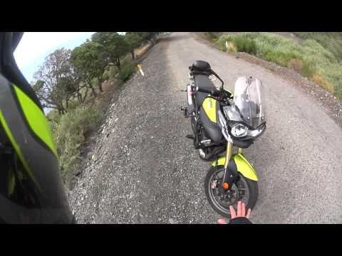 Triumph Tiger 800 ABS Long-Term Review - 1+ Years - Great First Bike!