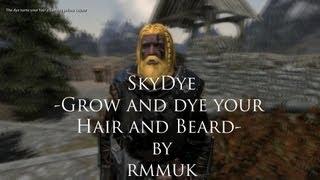 Another Skyrim Mod Review - SkyDye by rmmuk