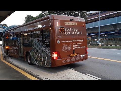 855 538 0453