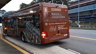 (Pollen Collection II Full Body Advertisement) SMB1338E On Service 855 At Yishun Avenue 2
