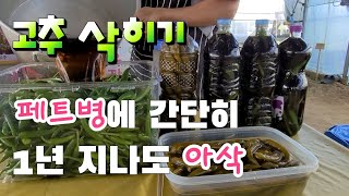 고추 삭히기 1년전 담는것 비교 페트병으로 간단히 1년 지나도 변하지 않는다