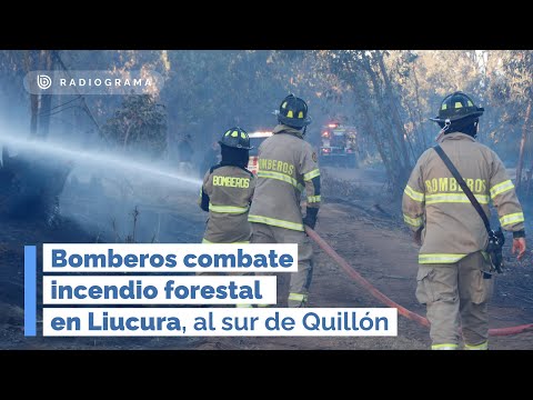 Bomberos combate INCENDIO FORESTAL en Liucura, al sur de QUILLÓN (RD)